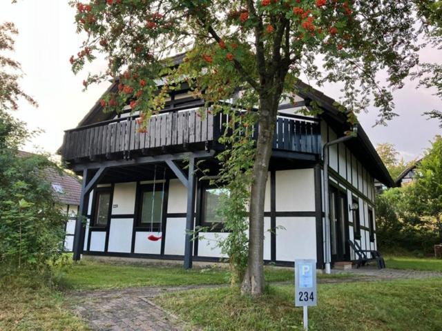 House Of Rootz Villa Frankenau Kültér fotó